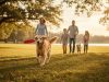 Older Dog Adoption: A Complete Guide to Adopting a Senior Dog WhatIsanOlderDo